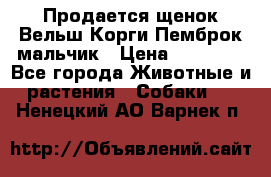 Продается щенок Вельш Корги Пемброк мальчик › Цена ­ 65 000 - Все города Животные и растения » Собаки   . Ненецкий АО,Варнек п.